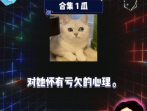吃瓜娱乐圈课代表八卦,课代表八卦大揭秘