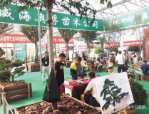 苗木展会,绿色产业盛宴，共鉴行业发展新篇章