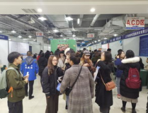 重庆市人才市场,汇聚英才，助力区域经济发展