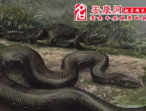 梦见把蛇打死,蛇的死亡预示着什么？